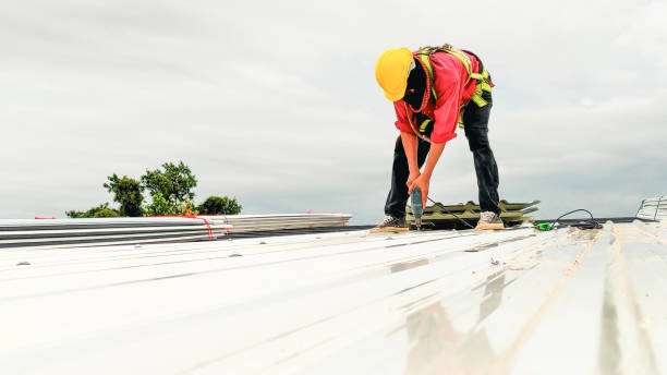 Best Emergency Roof Repair Services  in Mount Shasta, CA